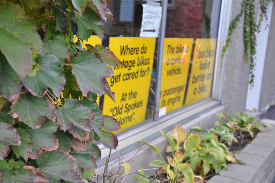 Signs in the window of the bike recycling place.
