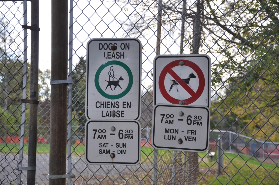 Signs outside the de facto dog park.  I was surprised to see these.  They are certainly routinely ignored!