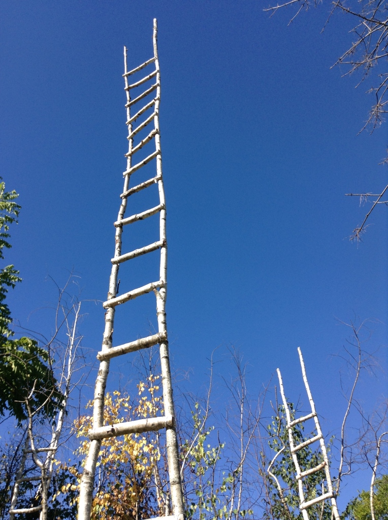 We went on a walk and found these ladders to nowhere.  A sign said they were a memorial for volunteers who had died.