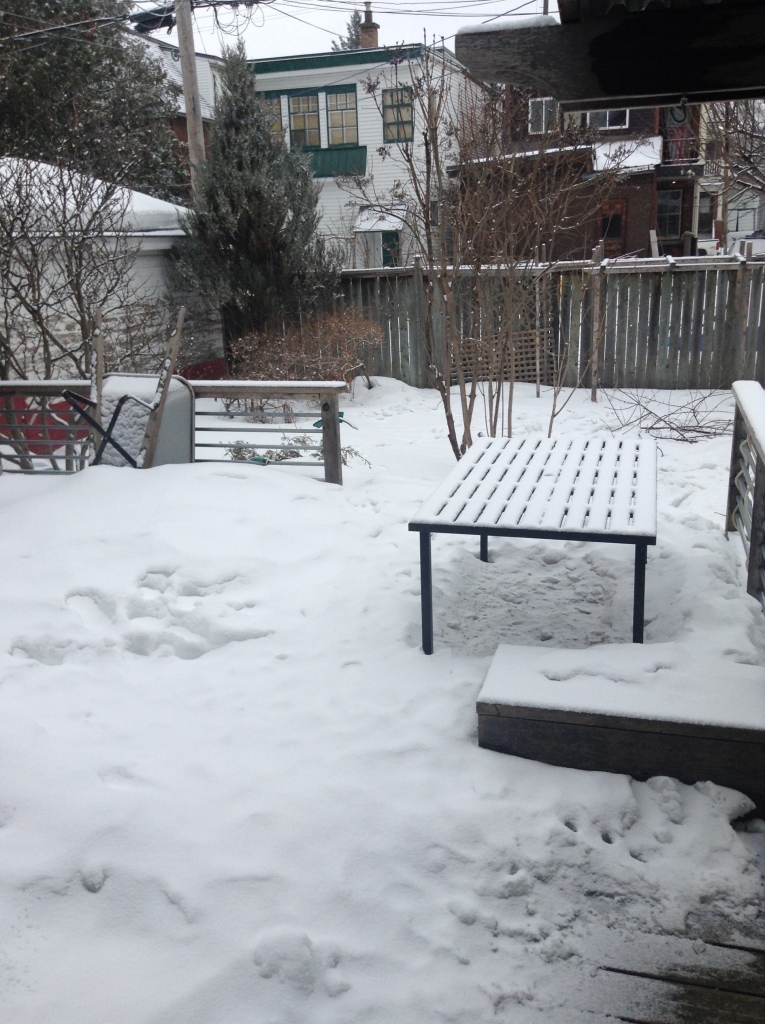 March 21, 2015 - !st Day of Spring - When will the snow melt? (Deck)
